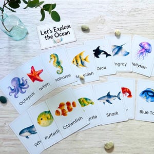 Cartes-éclair sur les animaux marins (PDF à imprimer), cartes Montessori sur l'océan, activités d'apprentissage préscolaire, étude de la nature à la maison, cartes-éclair pour tout-petits