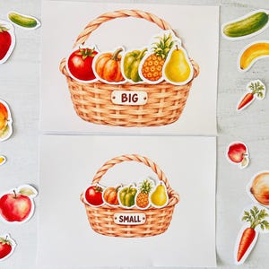May include: Two white sheets featuring watercolour illustrations of woven baskets filled with produce. The top basket is labelled BIG and contains a tomato, pumpkin, pepper, pineapple, and pear. The bottom basket is labelled SMALL with similar items.