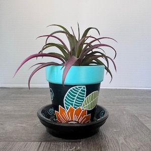 May include: A plant with long, pointed, dark purple leaves sits in a hand-painted terracotta pot. The pot features a bright turquoise rim, a black body decorated with a large orange flower, green leaves, and blue swirls, resting on a black saucer.