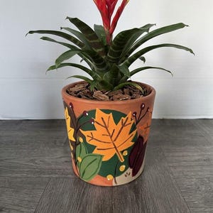 May include: A bromeliad plant with a vibrant red and yellow flower spike and dark green striped leaves, potted in a terracotta planter hand-painted with orange maple leaves, green foliage, and small berries on a dark green background.