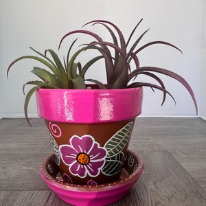 May include: A terracotta plant pot with a bright pink painted rim and matching saucer. The brown exterior features a hand-painted purple flower with white outlines, green leaves, and pink swirls. Two air plants with long, pointed leaves sit inside.