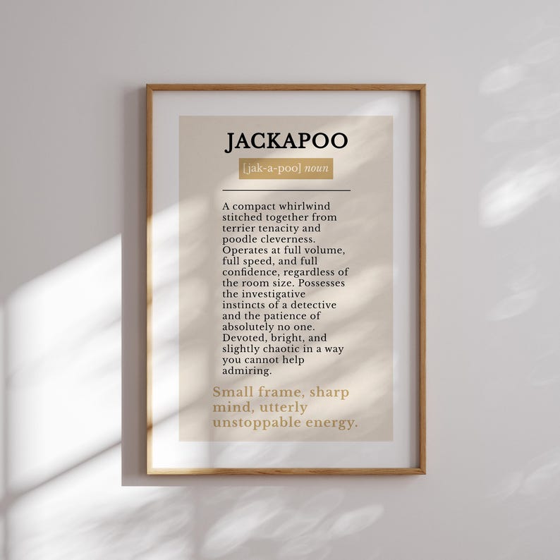 Pu&ograve; includere: Una stampa artistica incorniciata con una definizione in stile dizionario della parola JACKAPOO. Il testo &egrave; stampato in nero e oro su uno sfondo beige, descrivendo la razza canina con frasi come vortice compatto e mente acuta.