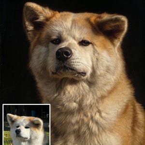 以下が含まれることがあります： 暗い背景に、明るい茶色と白の毛並みを持つ秋田犬の詳細な肖像画。 犬の毛皮は質感があり、画像には犬の小さなインセット写真が含まれています。