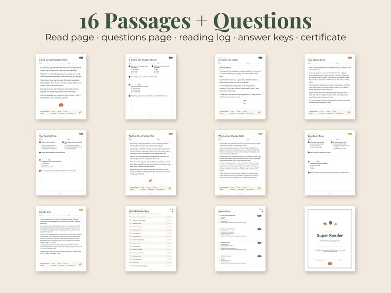 May include: A collection of 16 educational reading passages and questions printed on white paper. The set includes reading pages, question pages, a reading log, answer keys, and a Super Reader certificate. The text is black with small icons.