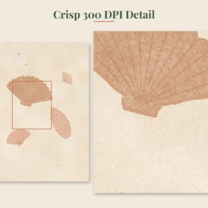 May include: A digital print featuring a light beige background with scattered terracotta-colored illustrations of seashells. The image includes a rectangular frame highlighting a section of the artwork, with the text Crisp 300 DPI Detail.