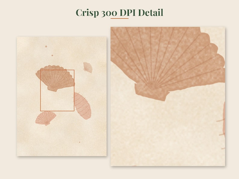 May include: A digital print featuring a light beige background with scattered terracotta-colored illustrations of seashells. The image includes a rectangular frame highlighting a section of the artwork, with the text Crisp 300 DPI Detail.