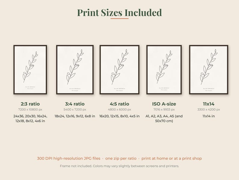May include: A digital print set featuring five identical framed art displays of a black line-art olive branch on a white background. Text includes Print Sizes Included, ratios 2:3, 3:4, 4:5, ISO A-size, 11x14, and various dimensions in inches.