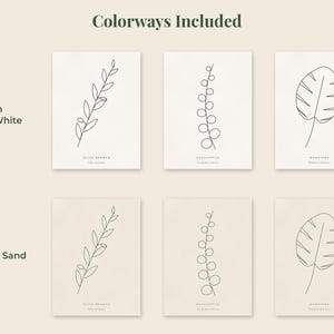 May include: Six rectangular prints featuring black line art of an olive branch, eucalyptus, and monstera leaf. The top row displays black ink on warm white paper, while the bottom row shows sage green ink on sand-colored paper with text labels.