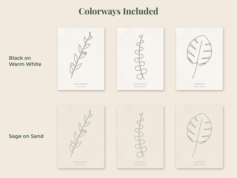 May include: Six rectangular prints featuring black line art of an olive branch, eucalyptus, and monstera leaf. The top row displays black ink on warm white paper, while the bottom row shows sage green ink on sand-colored paper with text labels.
