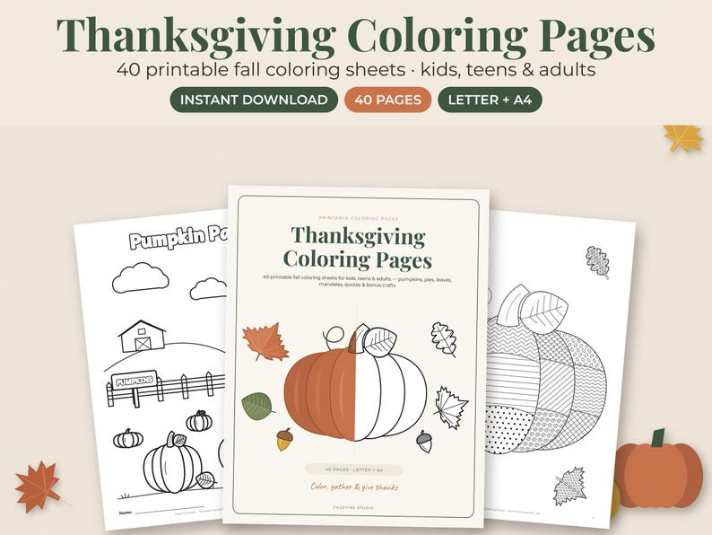 May include: A set of Thanksgiving coloring pages featuring 40 printable fall sheets. The cover page displays the text Thanksgiving Coloring Pages with a pumpkin illustration. Two additional sheets show a farm scene with pumpkins and a patterned pumpkin design.