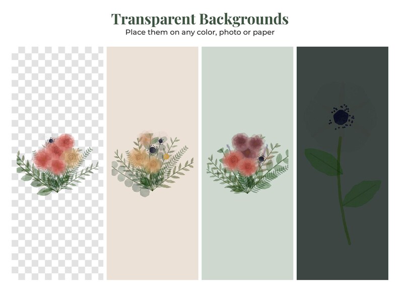 May include: Four vertical panels displaying floral digital graphics. The first shows a bouquet on a transparent checkerboard. The second features a bouquet on a beige background. The third shows a bouquet on a sage green background. The fourth displays a single flower on a dark green background. Text reads: Transparent Backgrounds. Place them on any color, photo or paper.