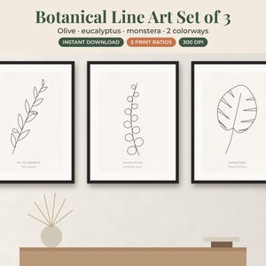 May include: A set of three framed botanical line art prints featuring an olive branch, eucalyptus, and monstera leaf. The text reads Botanical Line Art Set of 3, Olive, eucalyptus, monstera, 2 colorways, INSTANT DOWNLOAD, 5 PRINT RATIOS, 300 DPI.