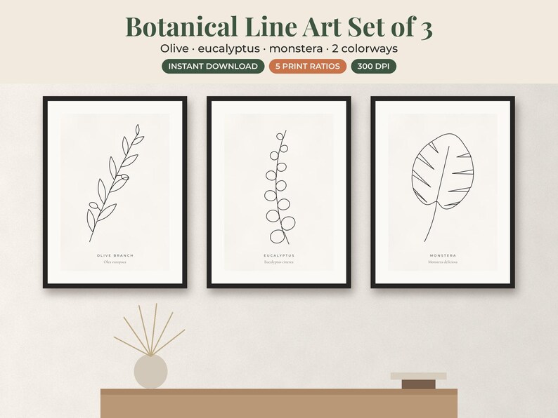 May include: A set of three framed botanical line art prints featuring an olive branch, eucalyptus, and monstera leaf. The text reads Botanical Line Art Set of 3, Olive, eucalyptus, monstera, 2 colorways, INSTANT DOWNLOAD, 5 PRINT RATIOS, 300 DPI.