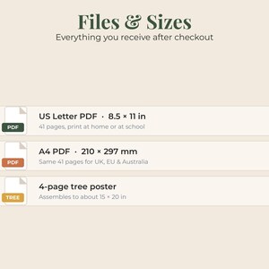 May include: An informational graphic titled Files & Sizes listing three digital items: a 41-page US Letter PDF at 8.5 x 11 inches, a 41-page A4 PDF at 210 x 297 mm, and a 4-page tree poster that assembles to approximately 15 x 20 inches.