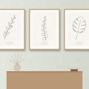 May include: Three framed wall art prints featuring black line drawings of an olive branch, eucalyptus, and monstera leaf on a light background. Each print includes the botanical name in text below the illustration, housed in light wood frames.