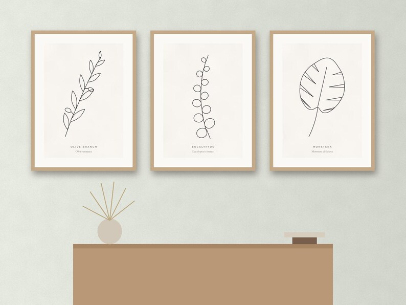 May include: Three framed wall art prints featuring black line drawings of an olive branch, eucalyptus, and monstera leaf on a light background. Each print includes the botanical name in text below the illustration, housed in light wood frames.