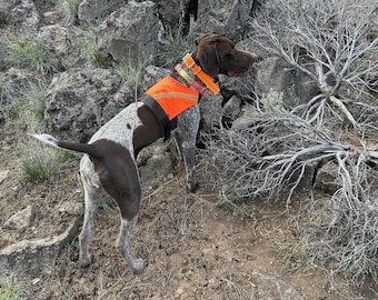EZC Visible Dog Vest Upland Hunting Durable All Terrain