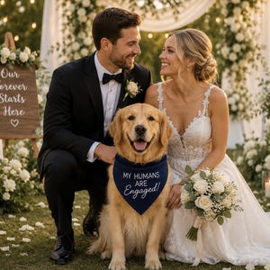 May include: A wedding photograph showing a couple and a golden retriever. The dog is wearing a navy blue bandana with the text "MY HUMANS ARE ENGAGED!". The bride wears a white wedding dress, and the groom is in a black tuxedo. A wooden sign reads "Our Forever Starts Here".