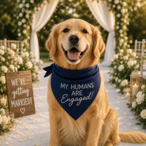 May include: A golden retriever wearing a navy blue bandana with the text "MY HUMANS ARE Engaged!" The dog is sitting on a white surface with a wooden sign that reads "WE'RE getting MARRIED!" in front of a floral wedding arch.