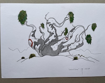 Eucalipto de Sandhill por NeilB