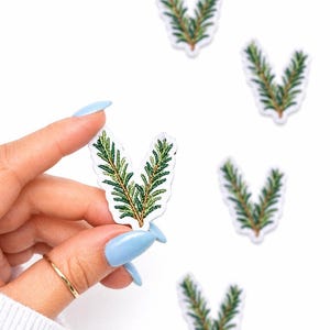 May include: Embroidered patches featuring a green and brown pine branch design. One patch is held up by a hand with a gold ring and light blue nails. Several other patches are scattered on a white background.