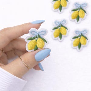 Mini Lemons Iron-On Patches, Embroidered DIY Accessories, Trendy Small Patch, Set of 10 Patches