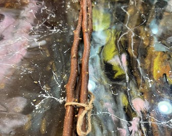 18-calowa naturalna drewniana grzęda dla papug falistych, nierozłączek i nimf (mała)