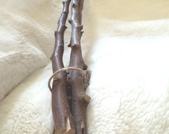 Set mit drei 30-Zoll-Naturholz-Vogelstangen für mittlere Vögel