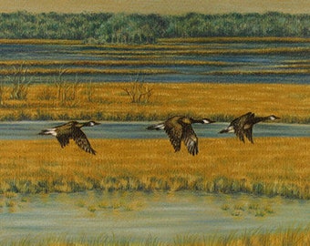 Canada Geese in Flight, Original Pastel Painting, Bird Drawing, Goose Art, 12 x 8.5 Gold Ochre Mat Board, SFA, Small Format Art, ADA-OA372