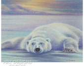 Reserved for phylliss v, Polar Bear Art, Original Pastel Drawing, Painting 10 x 8, Not a Print, ADA-396OA