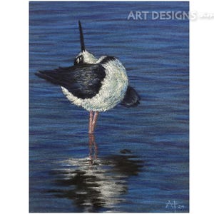 Shore Bird, Original Pastel Drawing, 6 x 8 Dancing Stilt Bird Art, Water Fowl Painting, Bird Painting, Seaside Bird Drawing, Not a Print