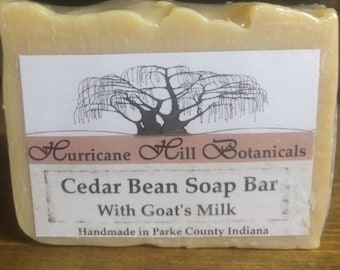 Cedar Bean Soap Bar