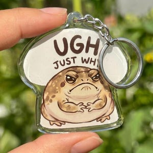 Funny Frog Keychain Ugh Just Why, Grumpy Frog Meme Gift, Cute Sarcastic Keychain, Relatable Humor Gift For Friend Coworker