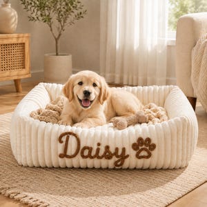 Può includere: Una cuccia rettangolare color crema con una consistenza a coste, caratterizzata dal nome Daisy ricamato in corsivo marrone e dall'icona di un'impronta di zampa marrone sul davanti. Un cucciolo di golden retriever siede all'interno della cuccia.