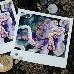 Octopus - Fine Art Prints, Watercolor, Canvas