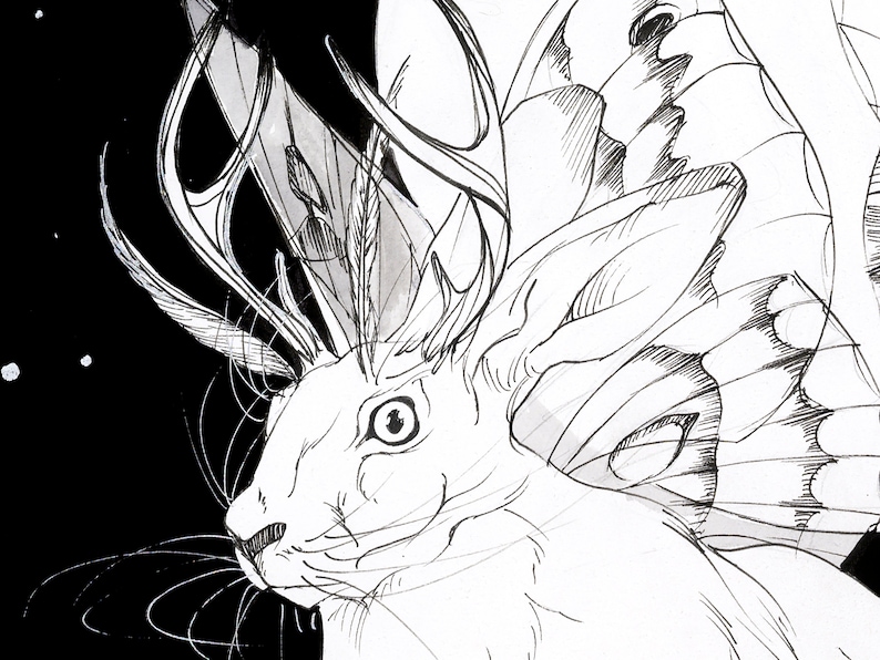 Jackalope Gicl\u00e9e Fine Art Print Greeting Card Cryptid Art Print Folklore Creature Greeting Card Folklore Art Print