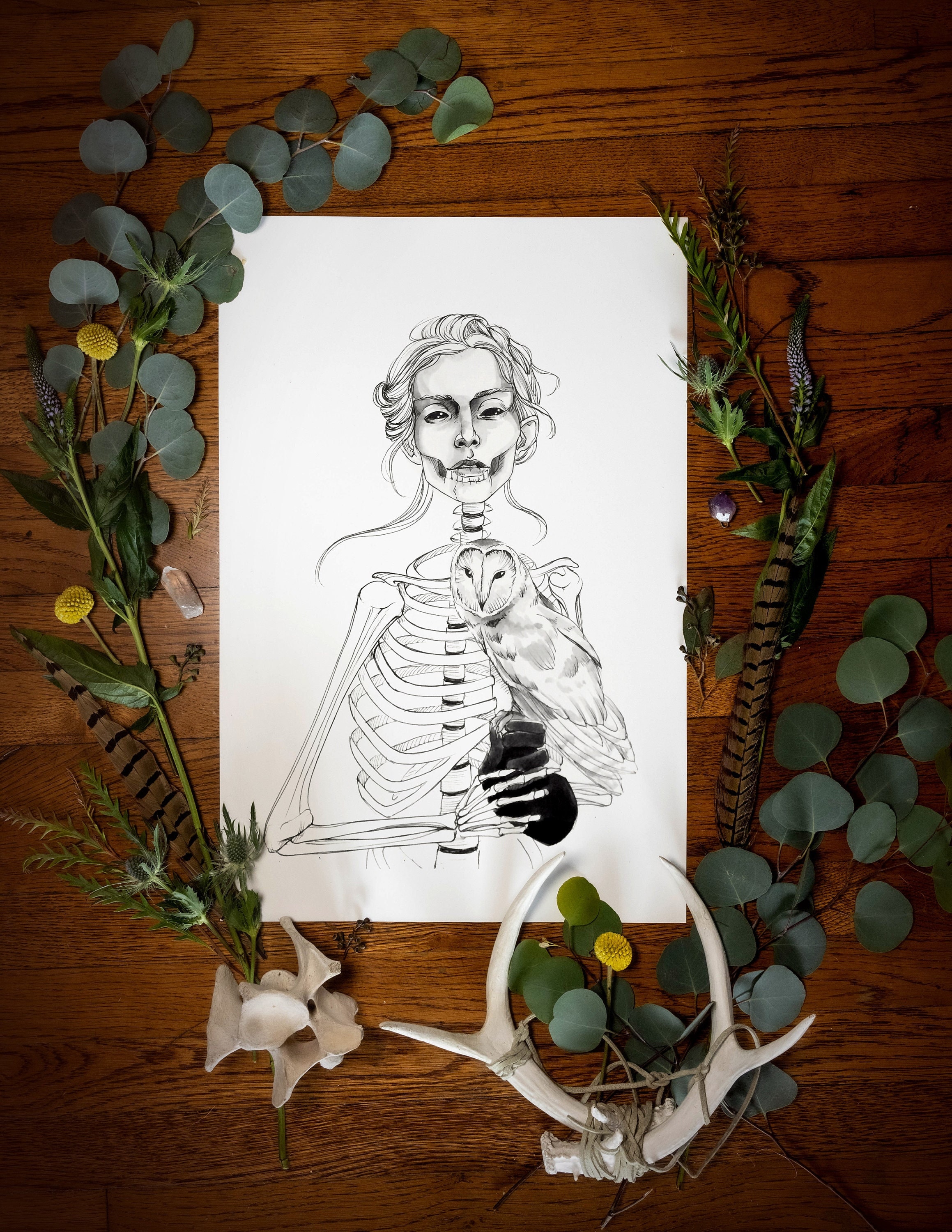 Skeleton and Owl Fine Art Giclee Print | Dark Art | Skeleton Art | Horror Art
