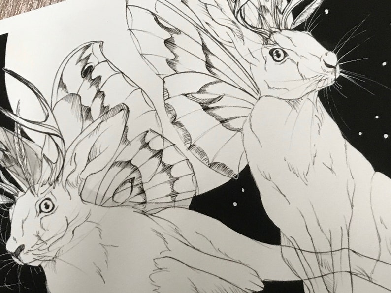 Jackalope Gicl\u00e9e Fine Art Print Greeting Card Cryptid Art Print Folklore Creature Greeting Card Folklore Art Print