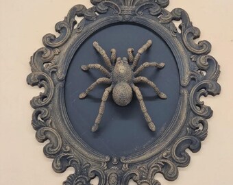 araña/adorno/archivo 3D/impresión 3D/archivo STL