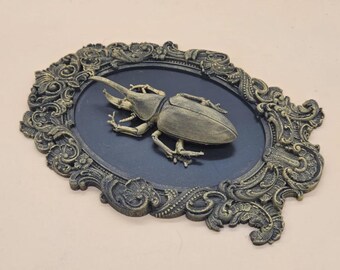Escarabajo /marco ornamental/gabinete de curiosidades/archivo 3D/archivo digital/