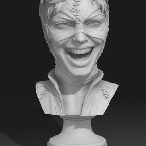 May include: A monochrome bust of a character wearing a cat-eared mask with goggles, a stitched face, and a jacket. The bust is mounted on a pedestal. The character is smiling widely, revealing teeth.