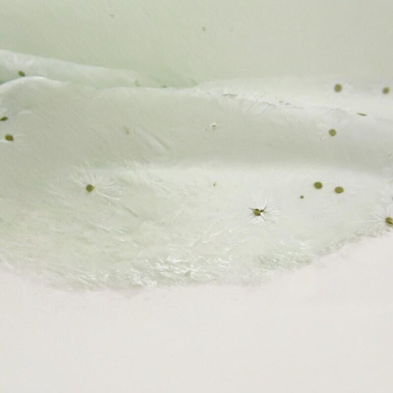 May include: A sheer, pale mint green fabric featuring a delicate, scattered pattern of small, white daisy-like floral motifs. The material has a soft, slightly crinkled texture and a translucent quality, with the flowers evenly distributed across the surface.