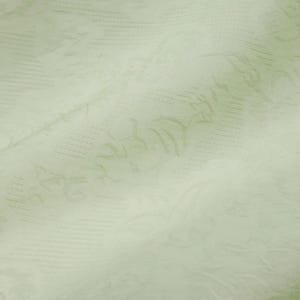 May include: Close-up of a pale green fabric with a subtle floral pattern. The fabric has a textured appearance with visible lines and soft folds, creating a delicate and elegant aesthetic. The overall tone is light and airy.