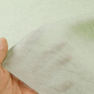 May include: A sheer, pale green fabric with a delicate floral pattern. The fabric is held up, revealing its lightweight and slightly textured nature. The design features subtle, repeating botanical motifs, creating a soft, airy aesthetic.