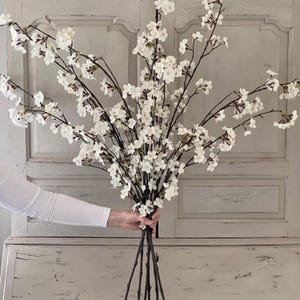 May include: A bouquet of white cherry blossom branches with dark brown stems. The flowers are in full bloom, creating a dense, textured appearance. The branches are held against a light gray background.