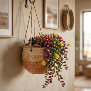 May include: A hanging ceramic planter with a speckled beige and brown finish, suspended by rope from a black hook. The planter is filled with a succulent plant with red, green, and yellow accents. The plant is cascading down the sides.