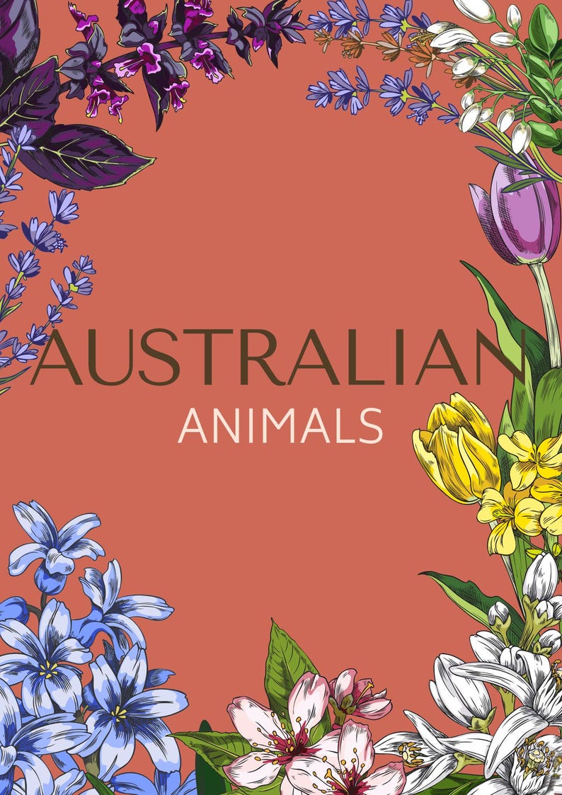 Australian Animals Colouring Book - Etsy Australia