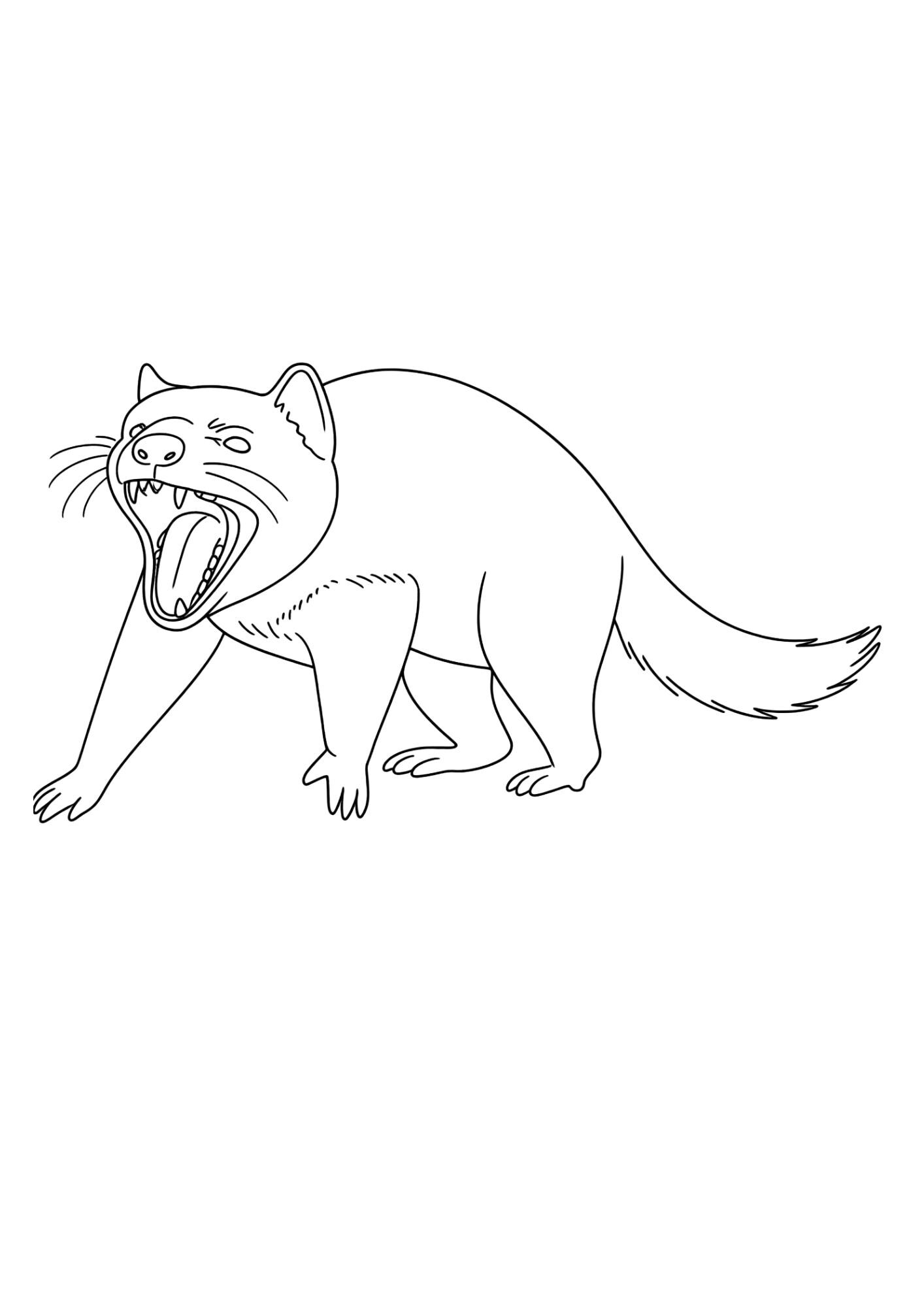 Australian Animals Colouring Book - Etsy Australia