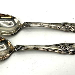 May include: Two silver spoons with ornate handles. The handles feature a grape cluster design. The spoons are reflective, with a polished finish. The spoons are likely for serving or eating.