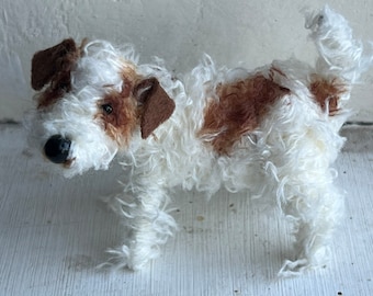 Wire-haired Jack Russell